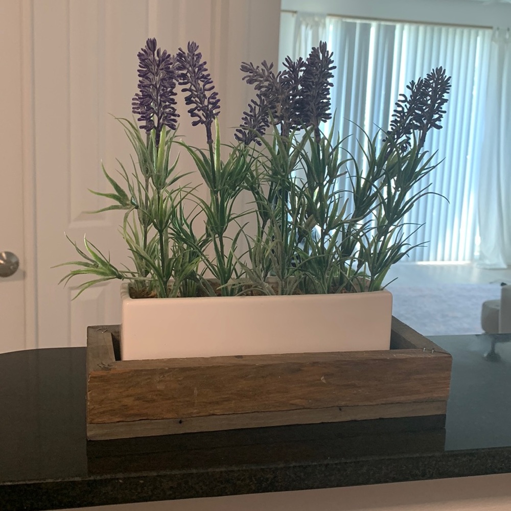 Cute faux lavender plants from Broward design center
